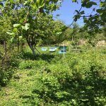 Kirayə (günlük) 3 otaqlı Həyət evi/villa Quba 22