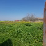 Продажа 5 комнатная Дома/Виллы Масаллы 11