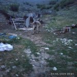 Satılır Obyekt Goranboy 9