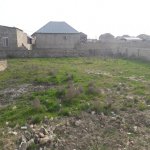 Satılır Torpaq, Maştağa qəs., Sabunçu rayonu 3