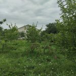 Kirayə (günlük) 3 otaqlı Həyət evi/villa Qusar 2