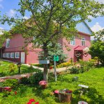 Kirayə (günlük) 5 otaqlı Həyət evi/villa Qəbələ 5