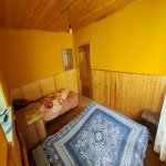 Kirayə (günlük) 3 otaqlı Bağ evi Qəbələ 23