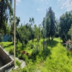 Satılır Torpaq Qəbələ 5