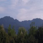 Satılır Torpaq Qəbələ 1
