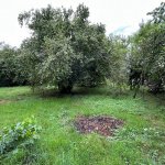 Satılır 3 otaqlı Həyət evi/villa İsmayıllı 18