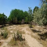 Satılır Torpaq, Goradil, Abşeron rayonu 14