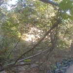Satılır 4 otaqlı Həyət evi/villa, Xocaəsən metrosu, Sulutəpə qəs., Binəqədi rayonu 29