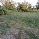 Satılır Torpaq Şəki 23