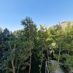 Kirayə (aylıq) 4 otaqlı Yeni Tikili, 28 May metrosu, Nəsimi rayonu 22