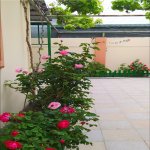 Satılır 4 otaqlı Həyət evi/villa, Buzovna, Xəzər rayonu 1