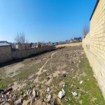 Satılır Torpaq, Novxanı, Abşeron rayonu 5