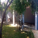 Kirayə (günlük) 3 otaqlı Həyət evi/villa Qəbələ 17