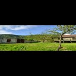 Satılır Torpaq Qəbələ 3