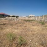 Satılır Torpaq, Saray, Abşeron rayonu 8