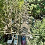 Satılır 3 otaqlı Köhnə Tikili, Azadlıq metrosu, 7-ci mikrorayon, Binəqədi rayonu 10