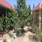 Satılır 7 otaqlı Bağ evi, Mərdəkan, Xəzər rayonu 28