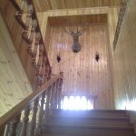 Kirayə (günlük) 8 otaqlı Bağ evi, Goradil, Abşeron rayonu 29