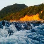 Satılır Torpaq Qəbələ 8