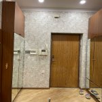 Аренда 2 комнатная Новостройка, м. Гянджлик метро, Гянджлик Малл, Наримановский р-н район 18