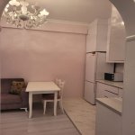 Аренда 2 комнатная Новостройка, м. 28 Мая метро, Насими район 2