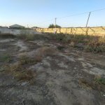 Satılır Torpaq, Digah, Abşeron rayonu 3