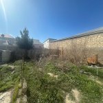 Satılır Torpaq, Məhəmmədli, Abşeron rayonu 1