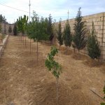 Satılır Torpaq, Masazır, Abşeron rayonu 4