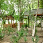 Satılır Obyekt Hacıqabul 2