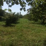 Satılır Torpaq Xaçmaz 3