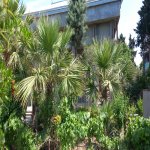 Продажа 5 комнатная Дача, Туркян, Хязяр район 2