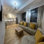 Kirayə (günlük) 2 otaqlı Yeni Tikili, 28 May metrosu, Nəsimi rayonu 1