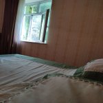 Kirayə (günlük) 4 otaqlı Həyət evi/villa Lerik 12