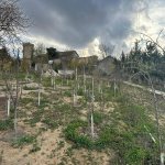 Продажа Участок, Мярдякан, Хязяр район 11