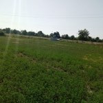 Продажа Участок Гябяля 1