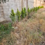 Продажа Участок, Бузовна, Хязяр район 5