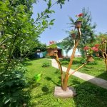 Kirayə (günlük) 2 otaqlı Həyət evi/villa Qəbələ 1