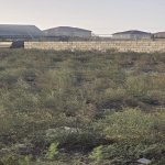 Satılır Torpaq, Masazır, Abşeron rayonu 4