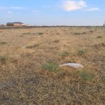 Продажа Участок, Сарай, Абшерон район 3