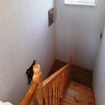 Kirayə (aylıq) 4 otaqlı Bağ evi, Mərdəkan, Xəzər rayonu 18