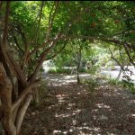 Satılır 5 otaqlı Həyət evi/villa, Avtovağzal metrosu, Biləcəri qəs., Binəqədi rayonu 2