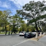 Kirayə (aylıq) 2 otaqlı Yeni Tikili, 28 May metrosu, Nəsimi rayonu 9