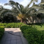 Kirayə (aylıq) 5 otaqlı Bağ evi, Mərdəkan, Xəzər rayonu 17