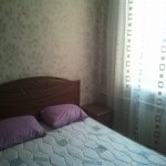 Kirayə (aylıq) 2 otaqlı Köhnə Tikili, Nəsimi rayonu 3