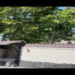 Kirayə (günlük) 4 otaqlı Həyət evi/villa Qax 6