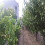 Kirayə (aylıq) 3 otaqlı Bağ evi, Şağan, Xəzər rayonu 4
