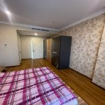 Kirayə (aylıq) 2 otaqlı Yeni Tikili, 28 May metrosu, Nəsimi rayonu 6