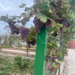 Продажа 6 комнат Дома/Виллы, Горадиль, Абшерон район 11