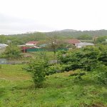 Satılır Torpaq Qəbələ 11