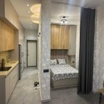 Продажа 1 комнатная Новостройка, пос. Бакиханова, Сабунчу район 8